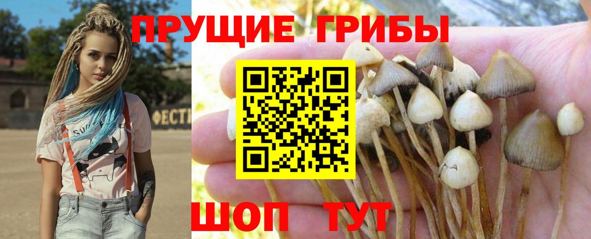 сколько стоит  Вход с VPN  Армавир  Галлюциногенные грибы ЛСД 